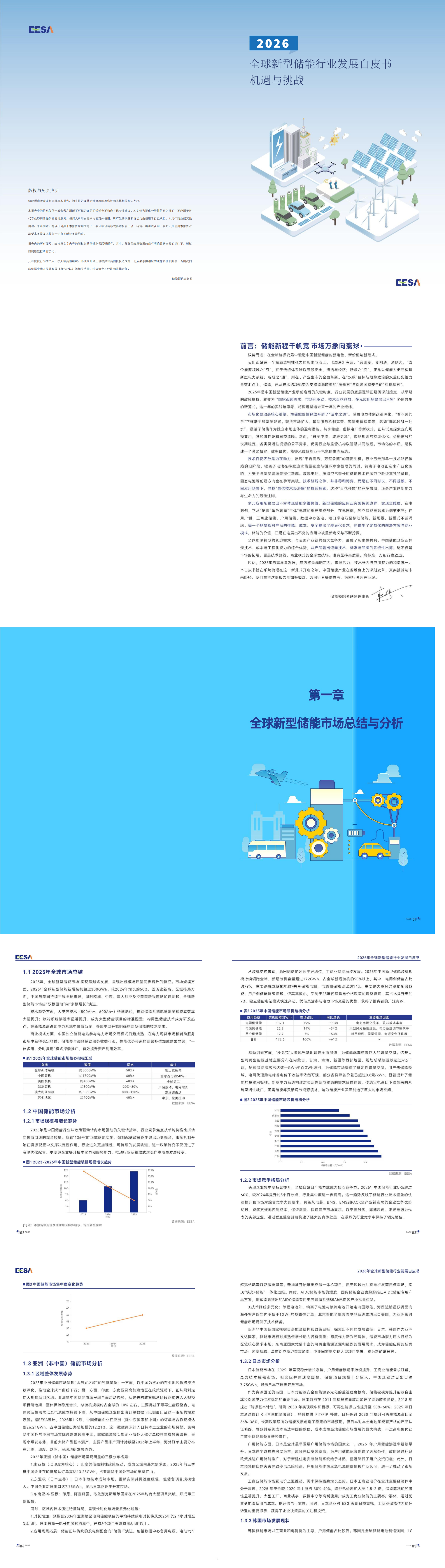 2026全球新型储能行业发展白皮书预览图1