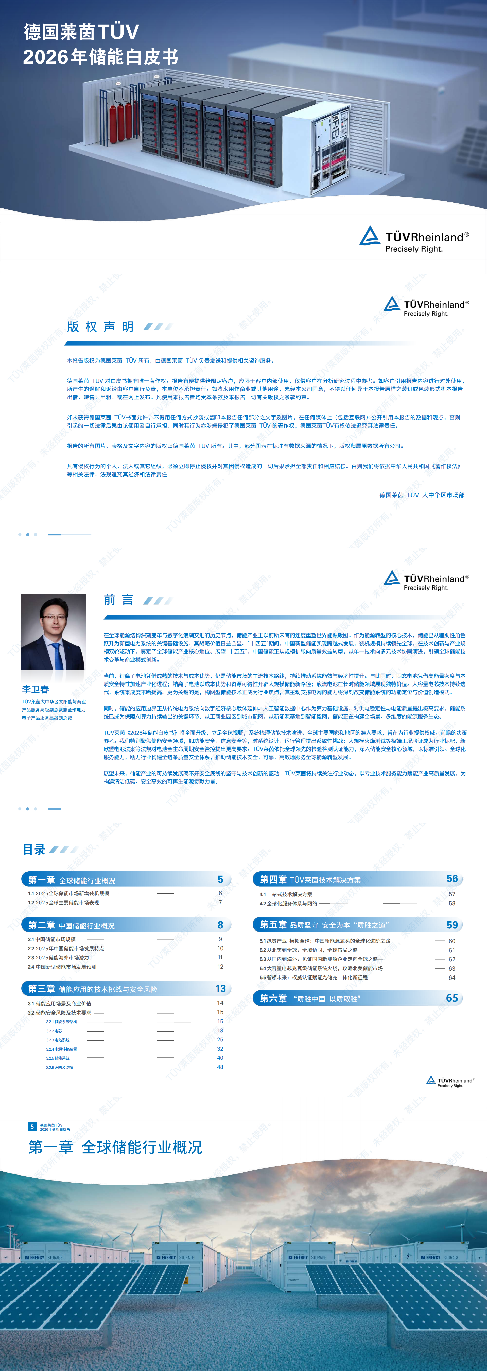 2026年储能白皮书预览图1